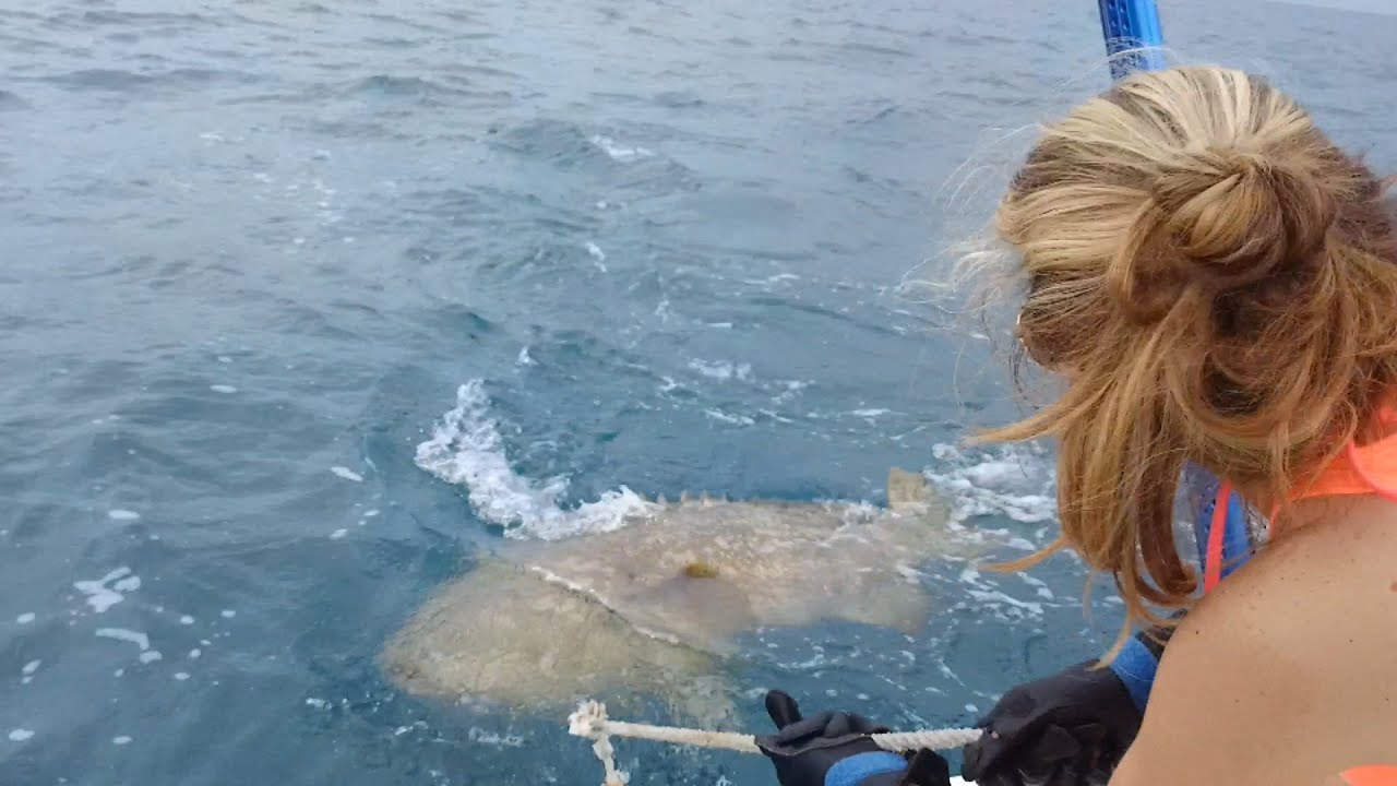 Amazing Deep Hole Fishing - How To Fishing Deep Hole Hand Fish - Fort Myers Traditional Fishing