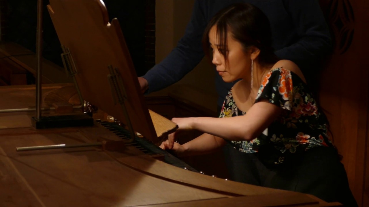 Megumi Hamaya plays Akira Nishimura . organTV