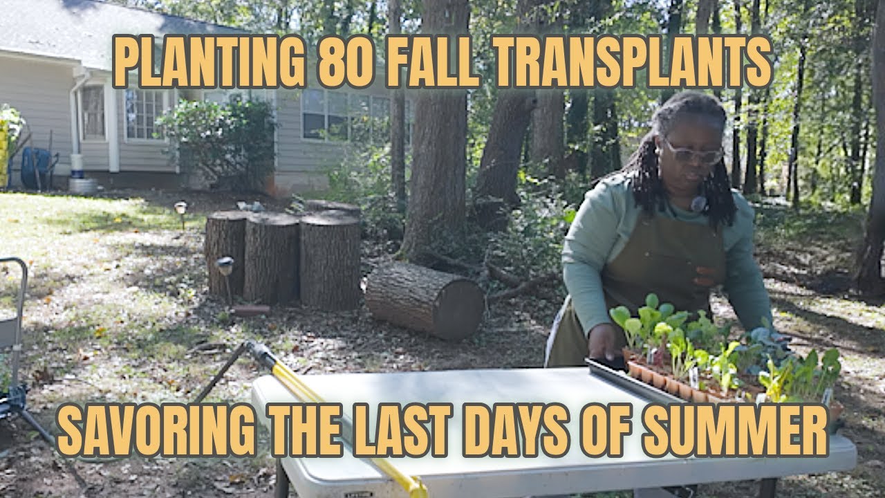 Planting 80 Fall Transplants | Saying Goodbye to the Summer Garden 🌿