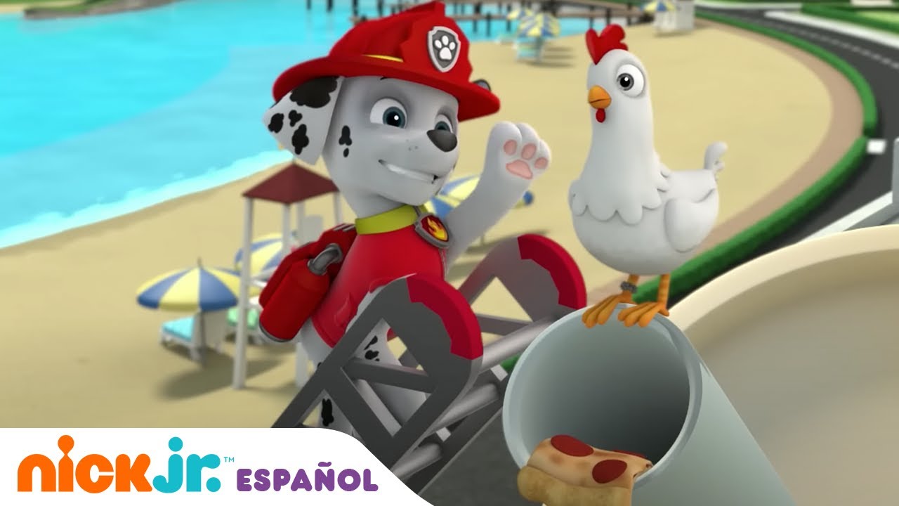 PAW Patrol | PAW Patrol tiene que salvar a Chickaletta |  Nick Jr. en Español