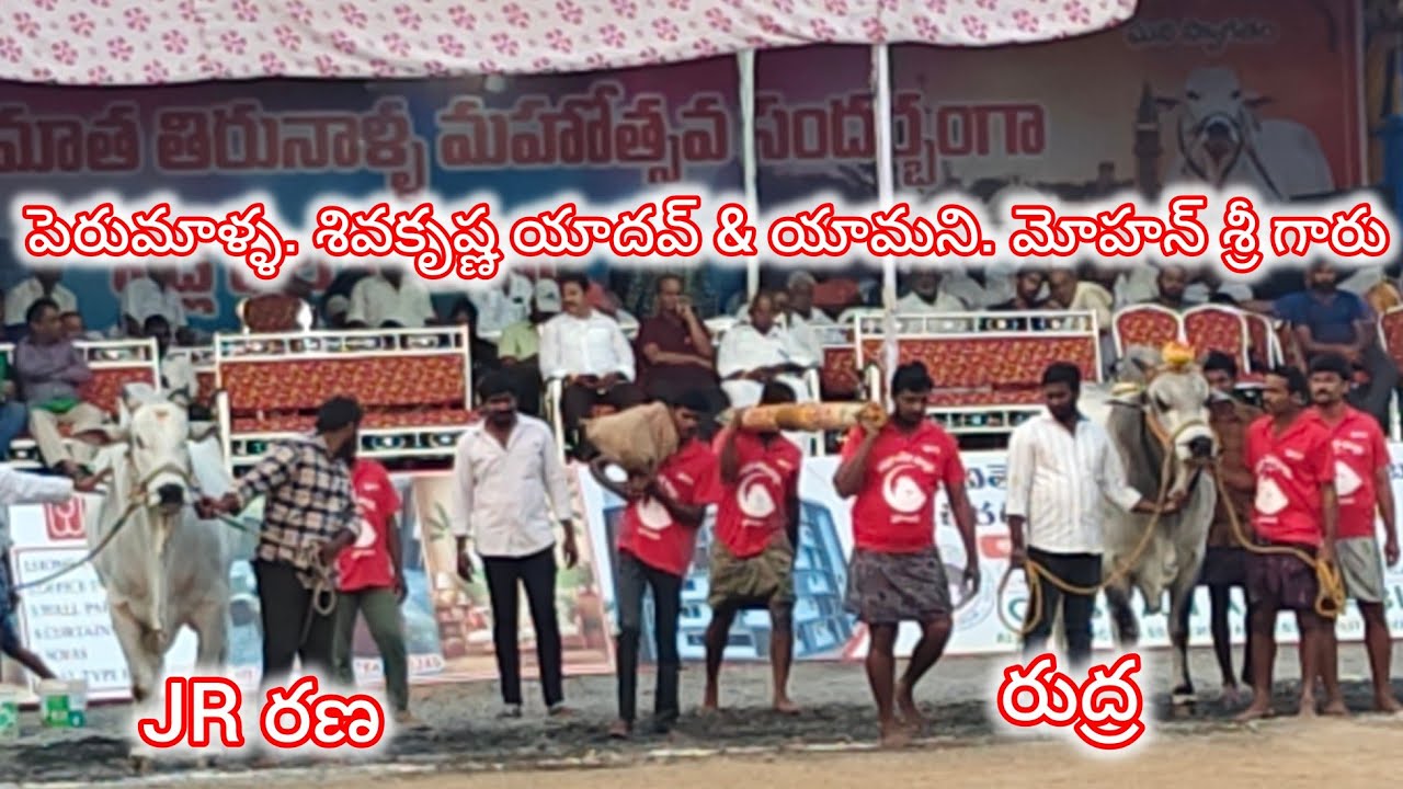 రెంటచింతల సబ్ జూనియర్స్ 11వ యామని. మోహన్ శ్రీ D/O రామారావు గారు & పెరుమాళ్ళ. శివ కృష్ణయాదవ్ గారు 