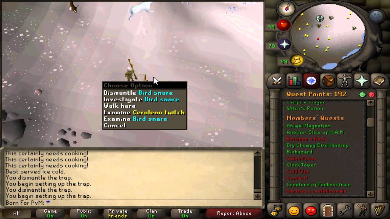 RS07 - Born For PvM - Fresh Start 2 - Skilling and Untradable Progress