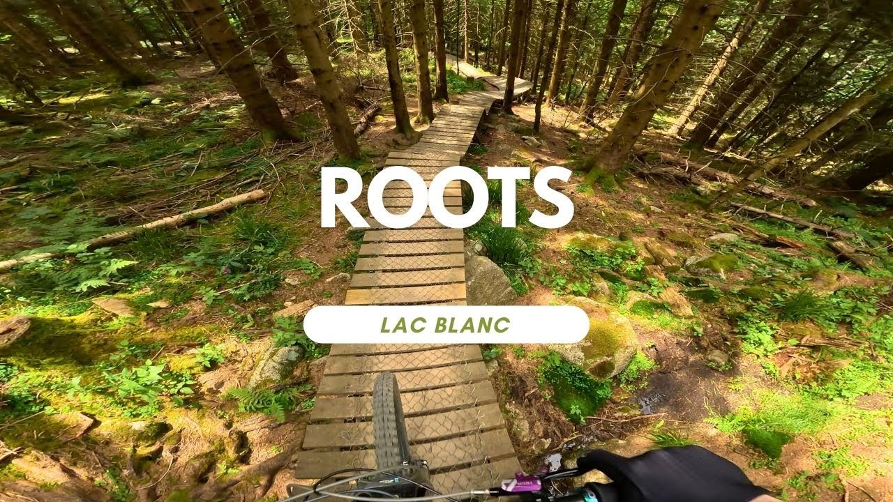 Roots Bikepark Lac Blanc France 🇫🇷 Trail Review ganze Strecke Full Run POV RAW