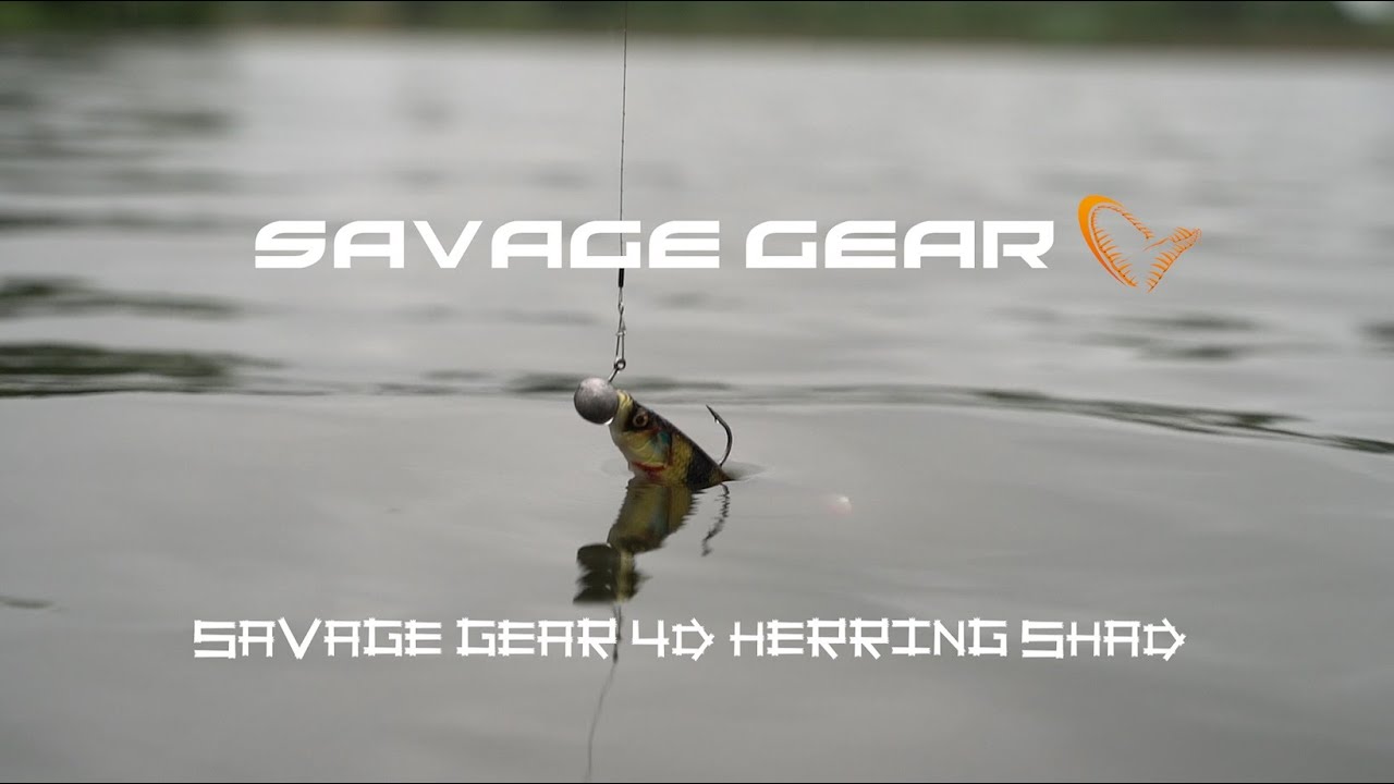 Savage Gear - test Herring Shad 4D - przynęta spinningowa