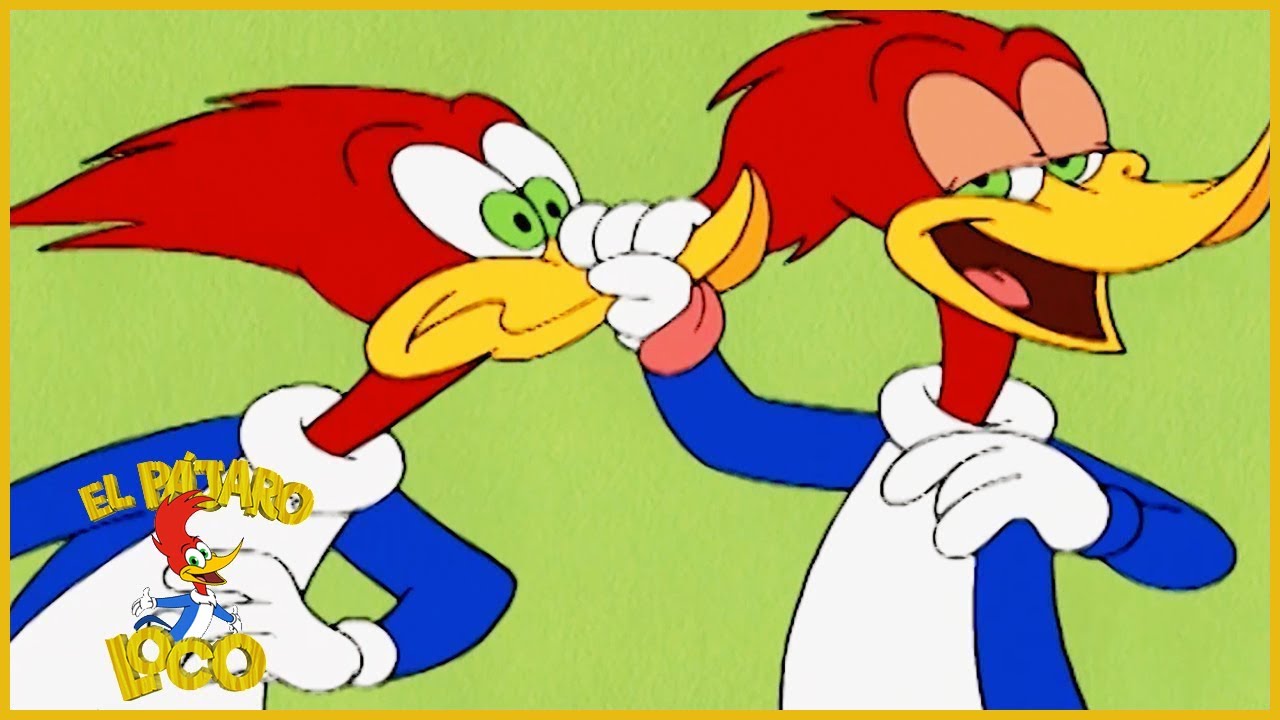 El Pájaro Loco en Español | Dos Carpinteros Son Mejor Que Uno | Dibujos Animados en Español