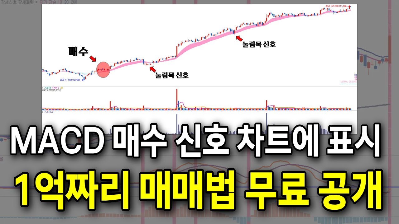 주식 고수들이 절대 안 알려주는 'MACD 활용법' 이것만 이해해도 월 천 법니다 / #MACD #매매기법 #매매법