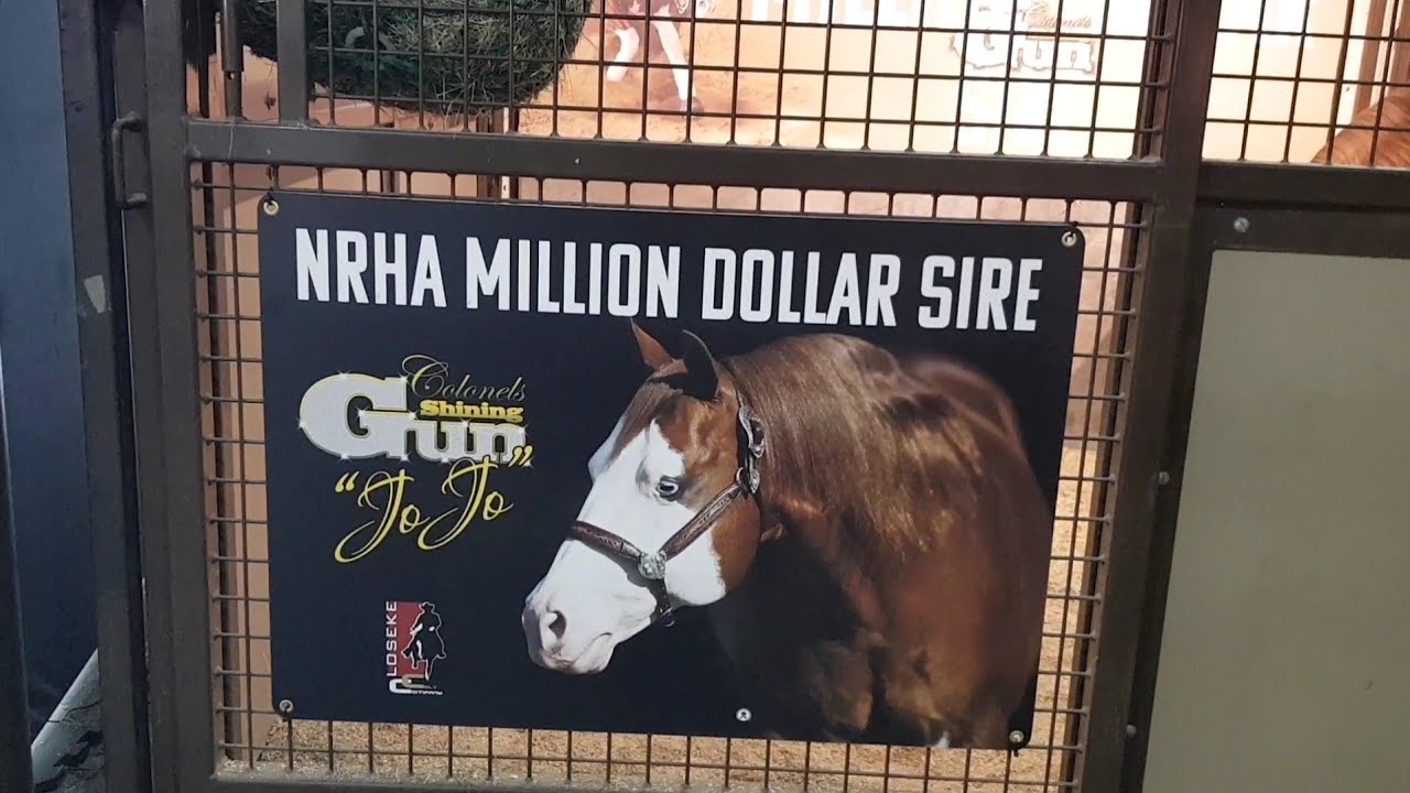 Paseando por el NRHA Futurity 2022  - Patriot, Colonels Shining Gun e Inferno 66