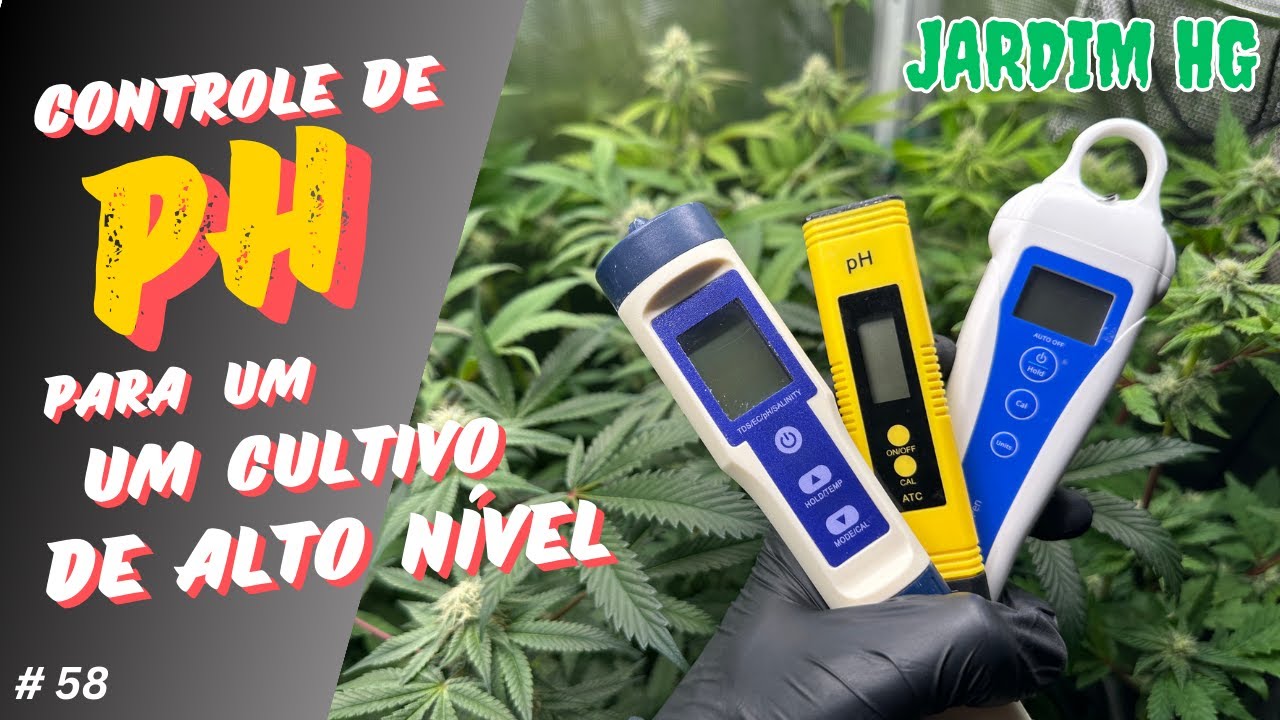 TUDO sobre pH no cultivo de Cannabis - ACABE COM AS DEFICIÊNCIAS