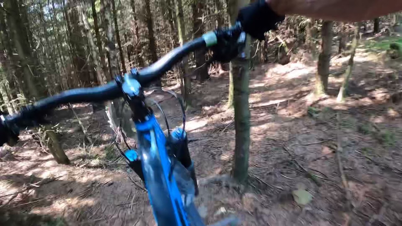 Scotland - Mabie Forest Slap Yer Nan off piste MTB black trail Dumfries
