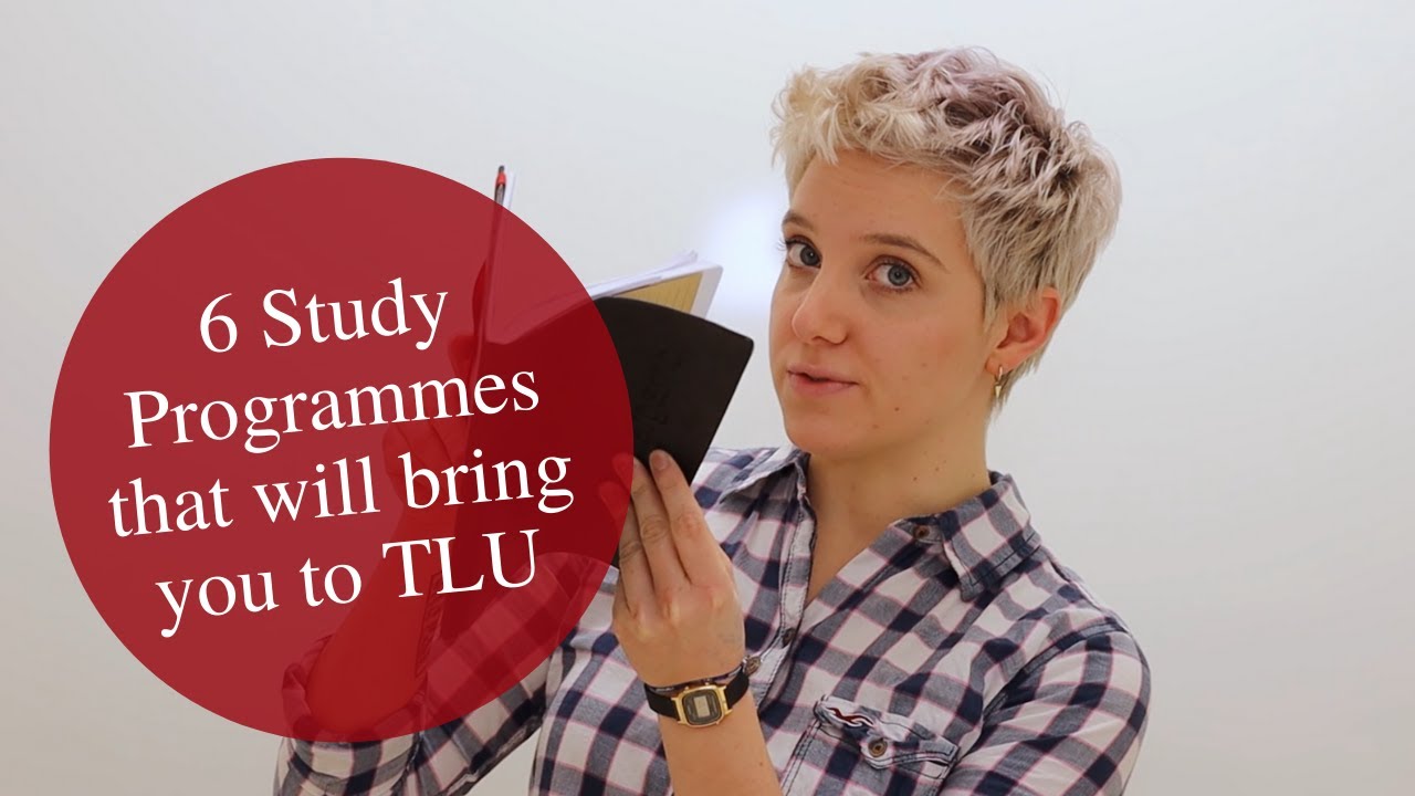 What Can You Study at Tallinn University?