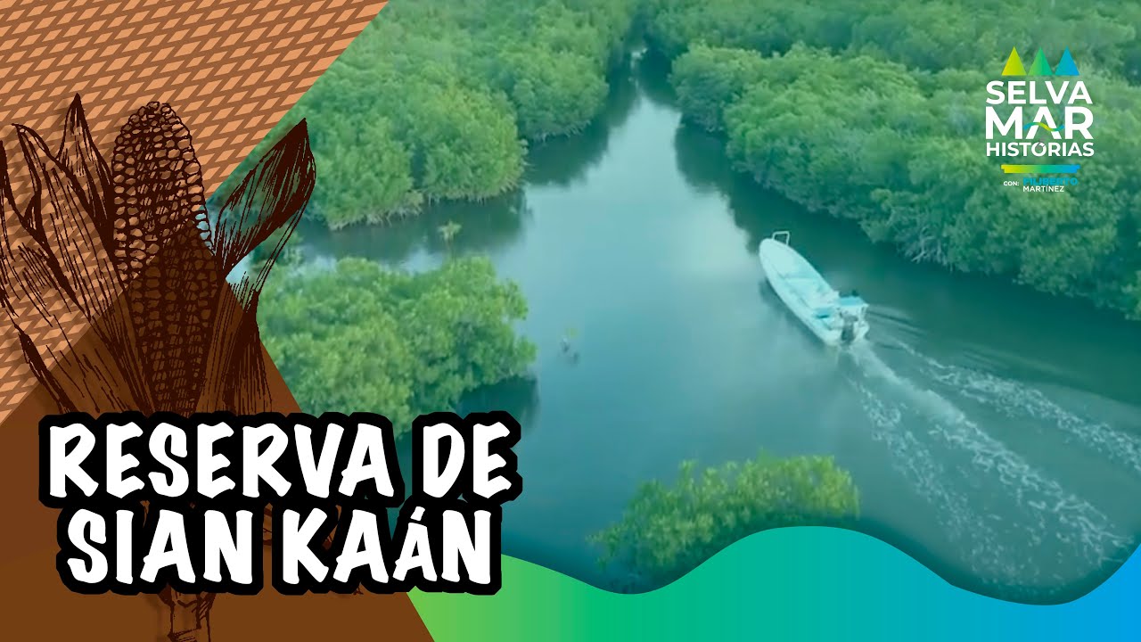 La RESERVA de la biósfera SIAN KAÁN en Quintana Roo | Filiberto Martínez