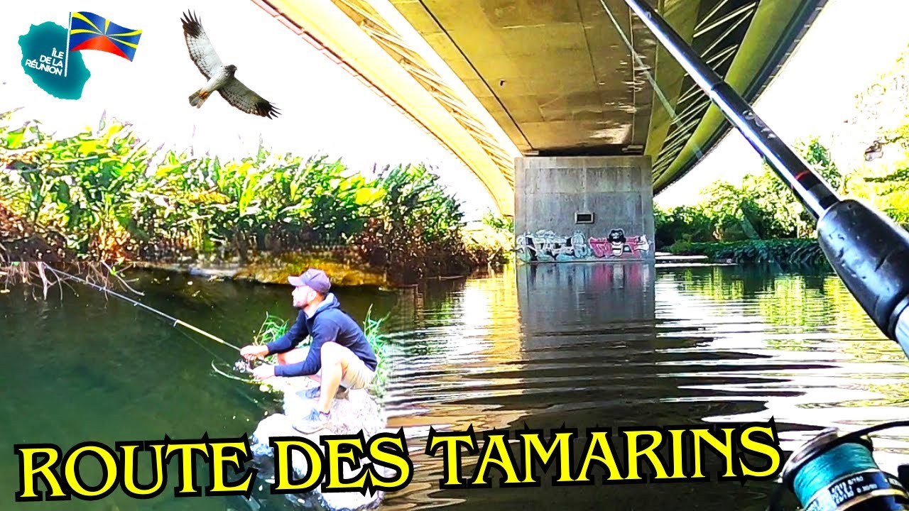 River FISHING Pêche à St - Paul FISHING 974 #fishing974