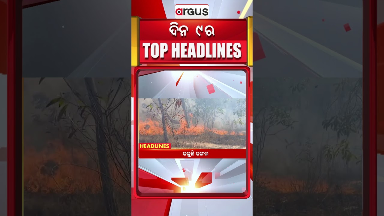 ସକାଳ ୯ଟା ବଡ଼ ଖବର | 9AM Headlines |Today Top News | Big Breaking | Odisha Latest Update | Argus News