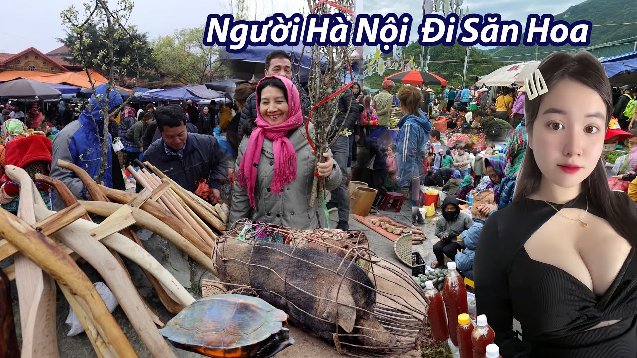 Chợ Bắc Hà đầu năm- Bất ngờ người Hà Nội săn tìm mua hoa nhộn nhịp như Tết
