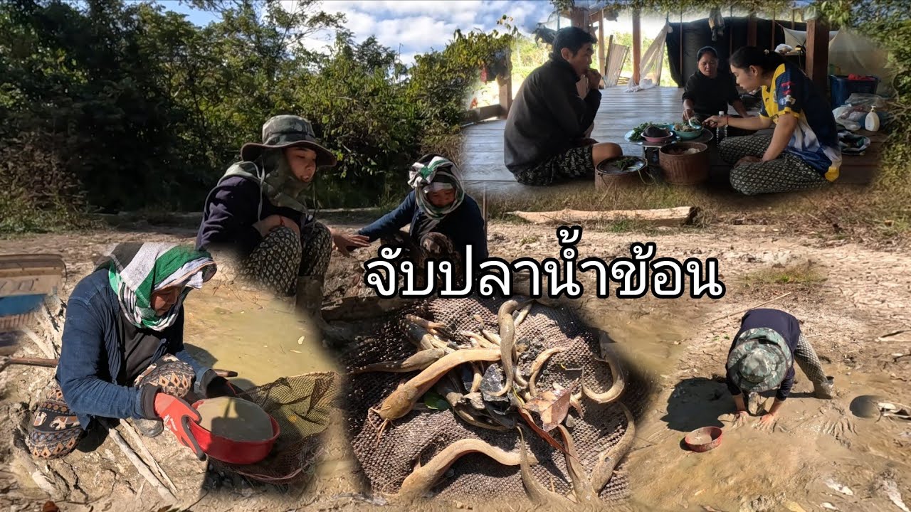 ຈັບປານ້ຳຂ້ອນ//จับปลาน้ำข้อนอยู่หนอง