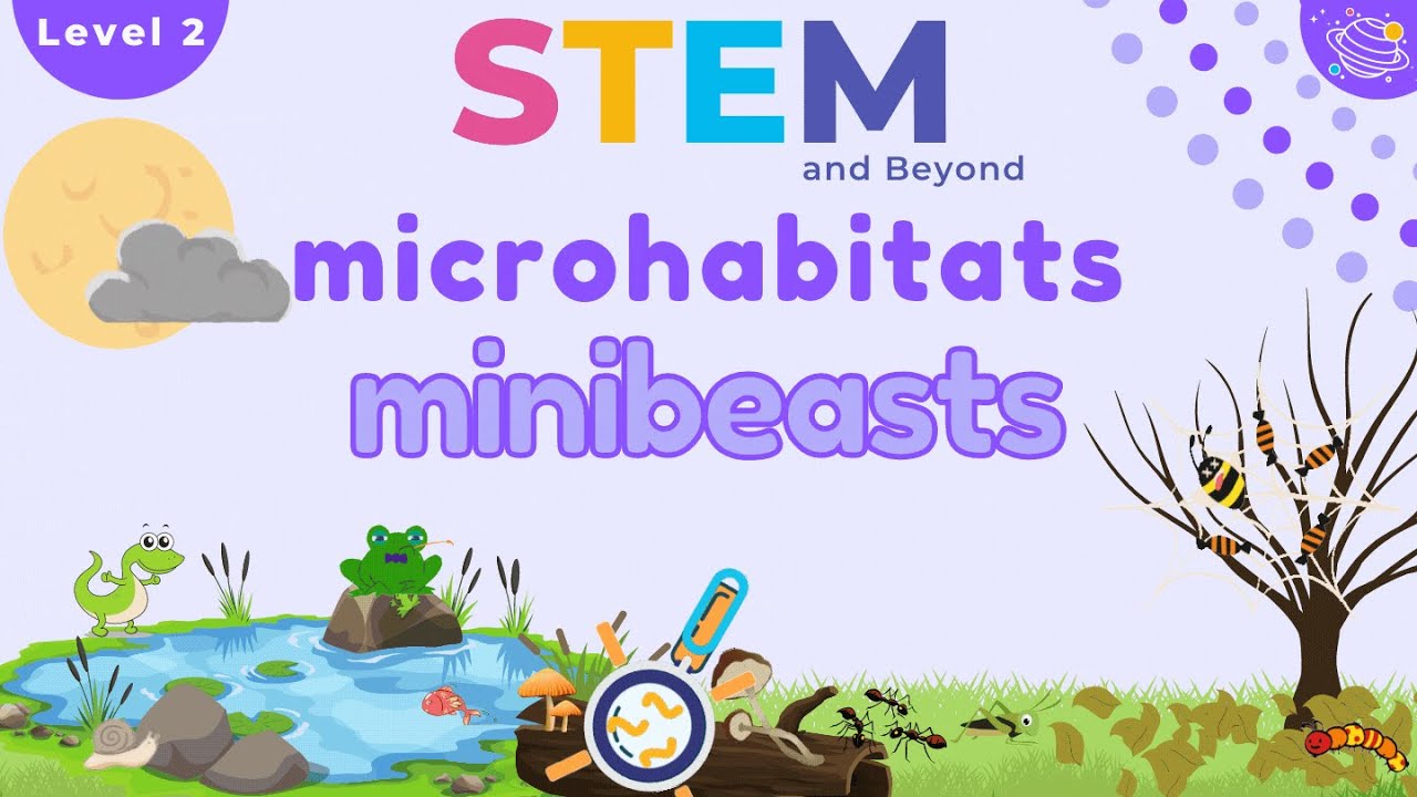 Microhabitats | KS1 Year 2 Science | STEM Home Learning