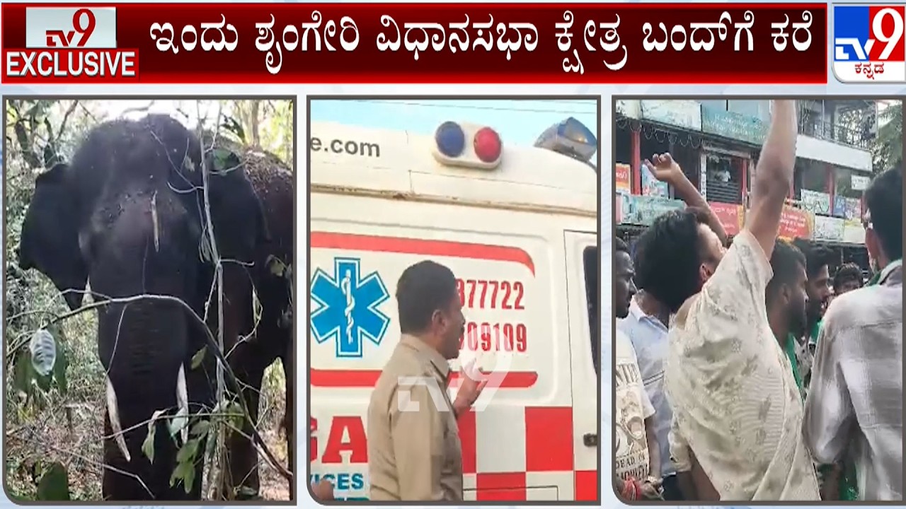 Woman dies in elephant attack in Chikkamagaluru | ಶವವಿಟ್ಟು ಚಿಕ್ಕಮಗಳೂರು-ಶೃಂಗೇರಿ ರಾಜ್ಯ ಹೆದ್ದಾರಿ ಬಂದ್