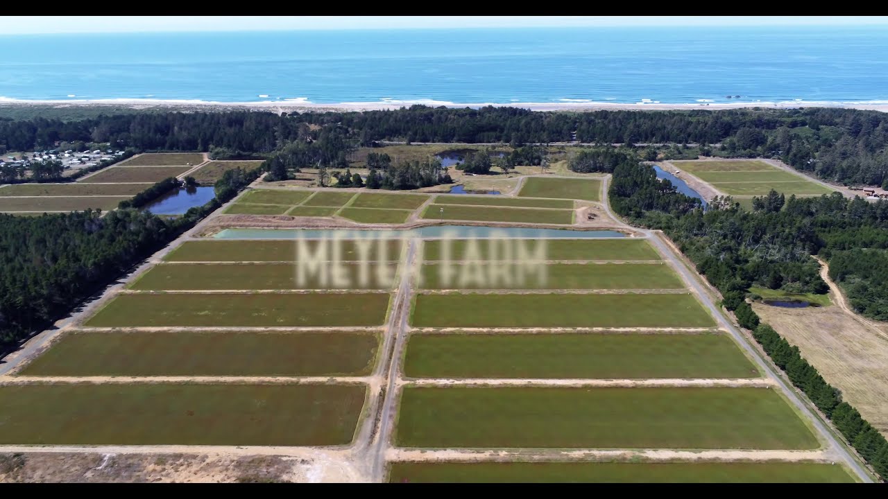 Meyer Cranberry Farm For Sale In Bandon Oregon - Bandon Oregon Real Estate.