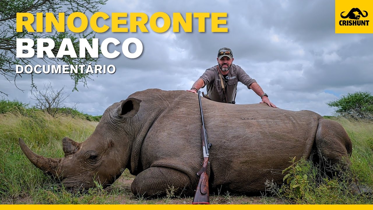 Rinoceronte branco