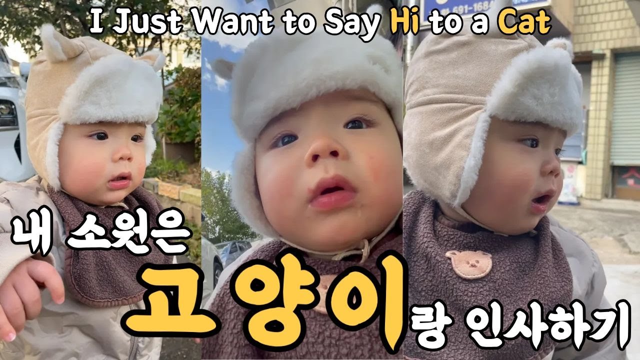 내 소원은 '길고양이랑 인사하기'이다. [12개월 돌아기의 걸음마] ㅣ A 12-Month-Old’s Wish: Saying Hello to a Stray Cat
