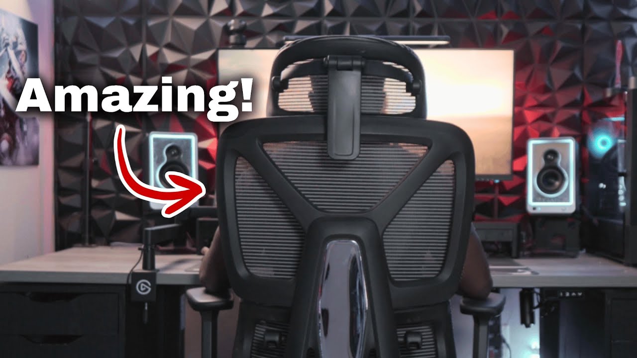 The Best Office Chair of 2025! | Flexispot ErgoX Premium Review