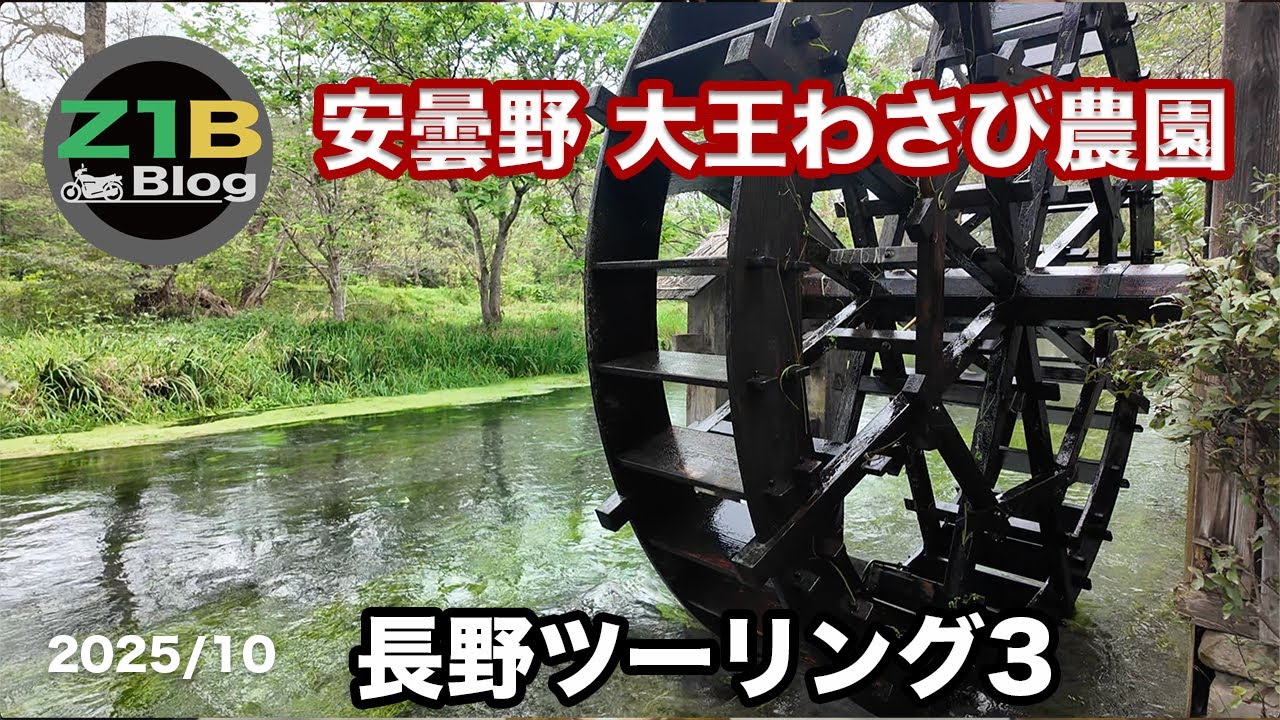 安曇野大王わさび農園【長野ツーリング３_202510】