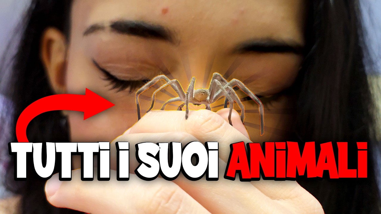 Sono entrato nella stanza degli INCUBI (Zoozapping) 🕷️