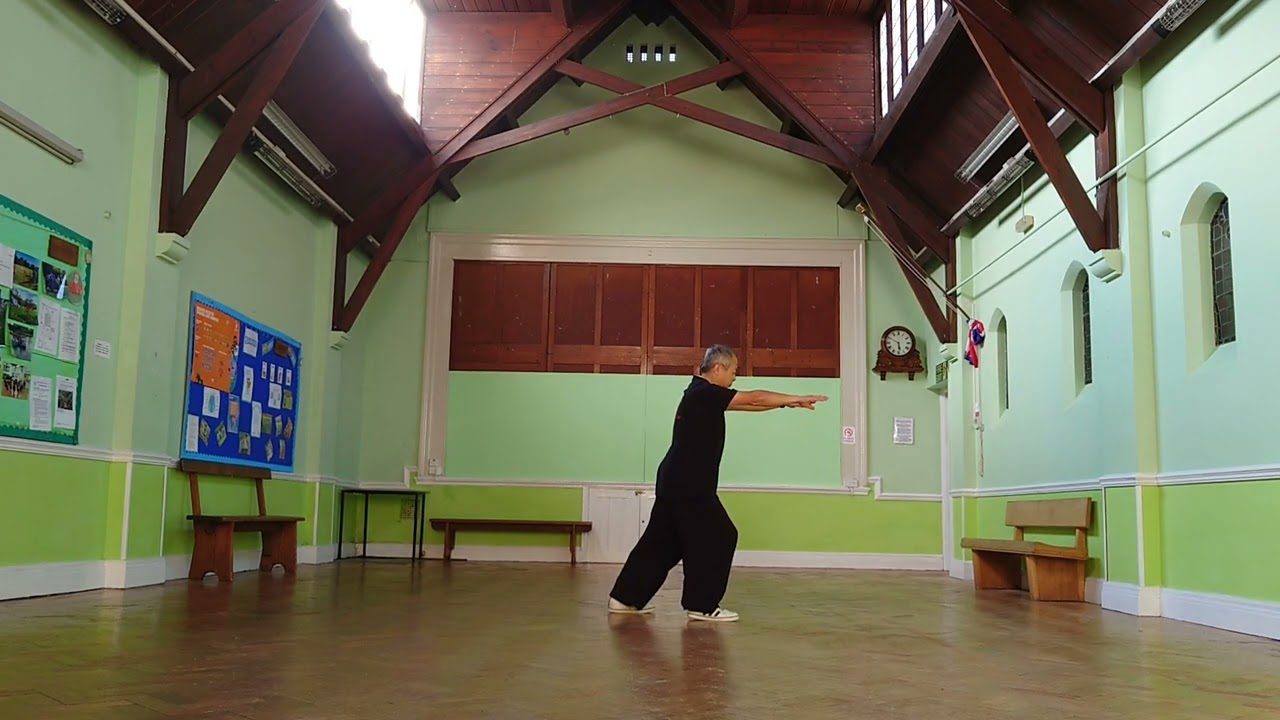 Qigong - Embracing arms @whitehorsetaichi