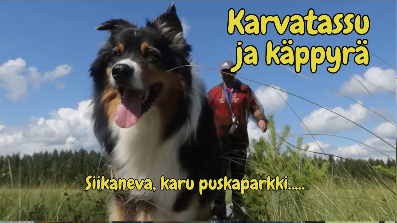 Siikaneva karu puskaparkki