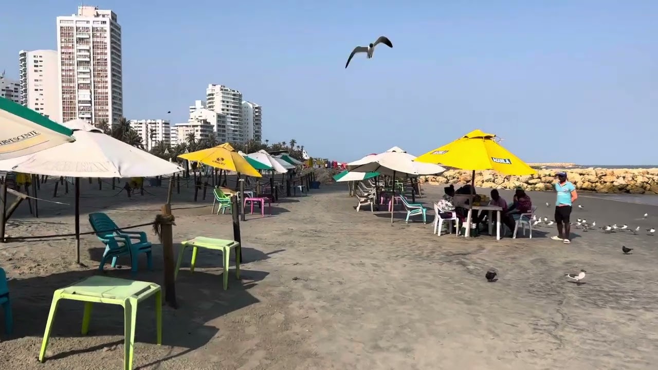 🇨🇴【4K HD】Quick Morning Walk  Boca Granda Beach Carthegna Colombia (MUST WATCH)
