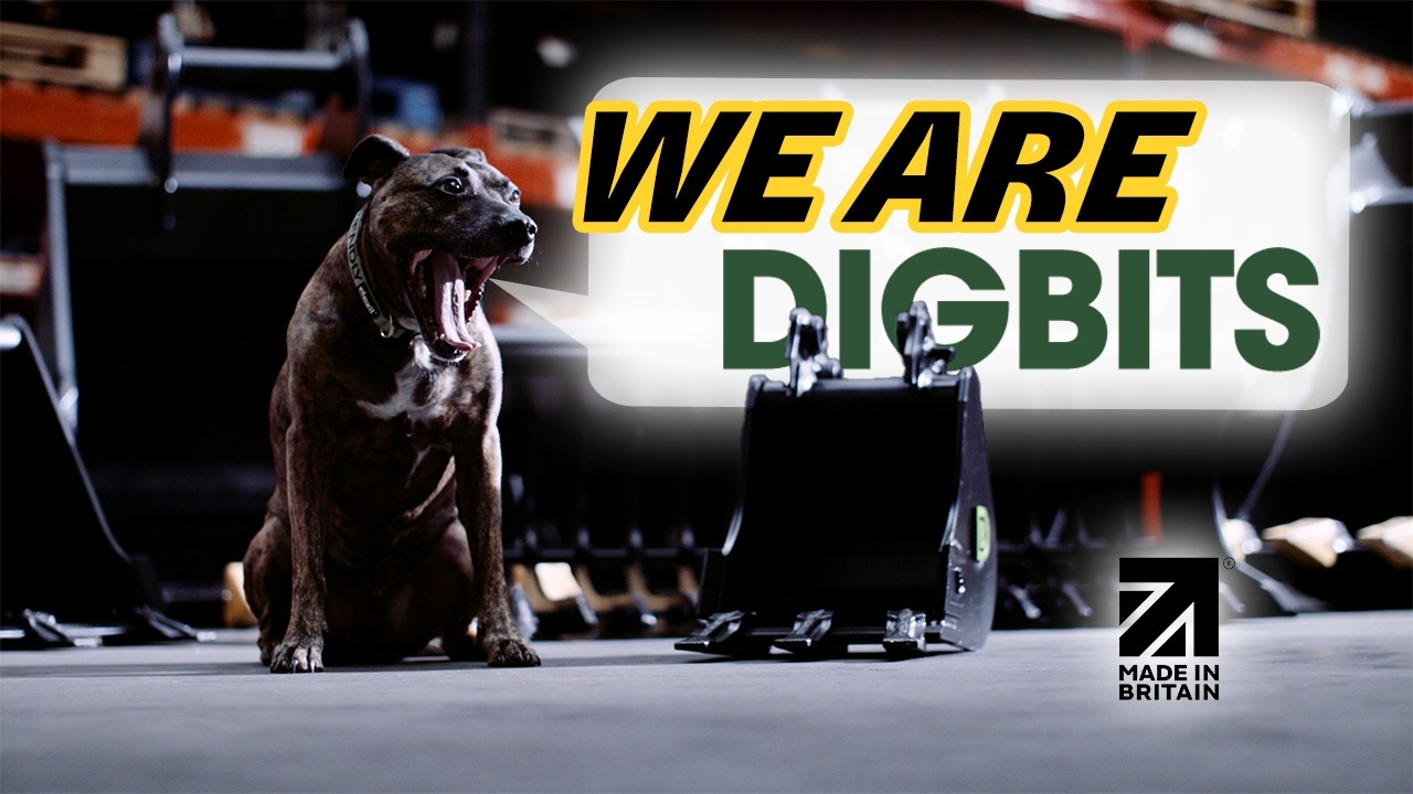 Who Are DIGBITS? | Hear from the team