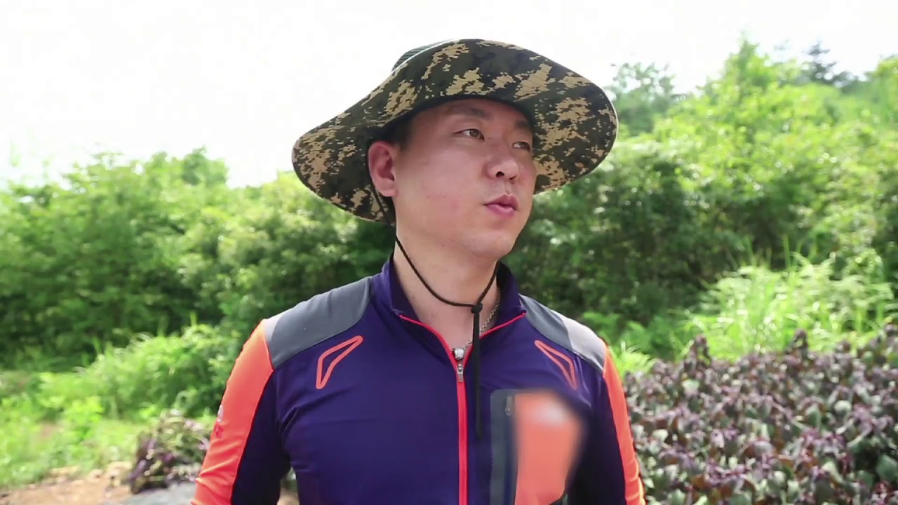 [Arirang Prime 2018] Medicinal Herbs & Korean Medicine Training