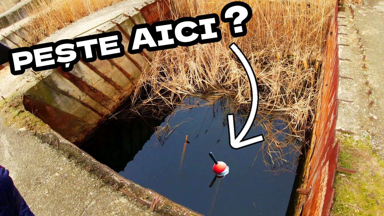 PESCUIT la PLUTĂ pe o BALTĂ SĂLBATICĂ (locație ciudată). Multe trăsături!