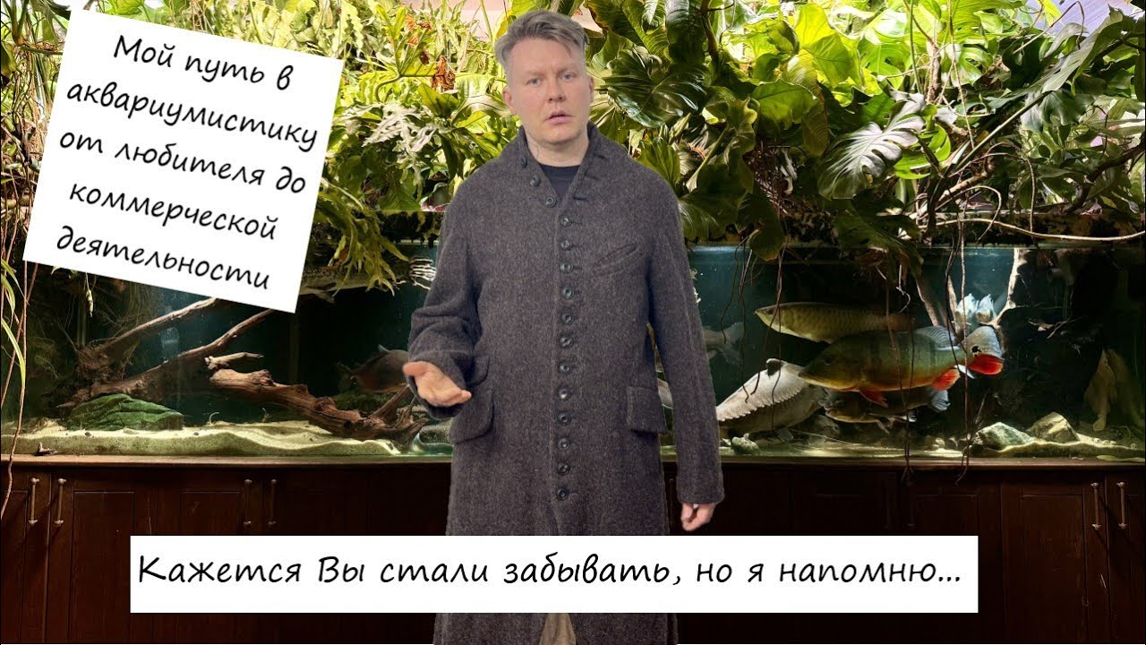 Моя история про путь в аквариумистике, от любителя до профессионала в коммерческой аквариумистике.
