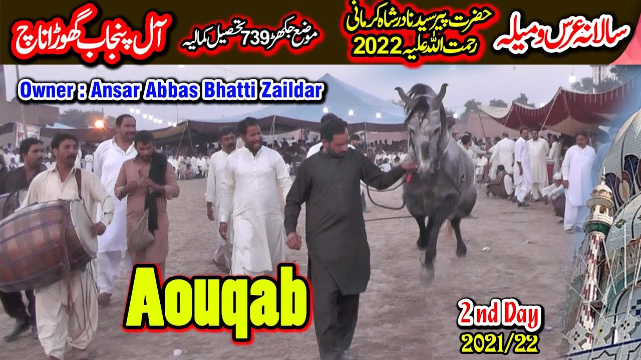 Aouqab ll Sewara ll All Pakistan Horse Dance ll 739 Moza Jakhar Kamalia 2021/22
