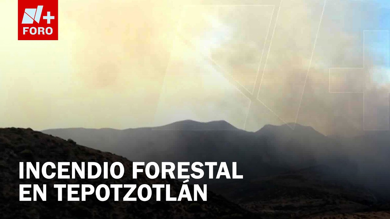 Fuerte Incendio Forestal Devasta Zona de Los Potros en Tepotzotlán, Estado de México