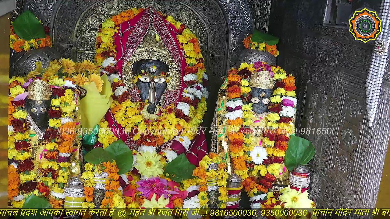 Maa Baglamukhi Official_Live Darshan_mahant shree Rajat giri ji_