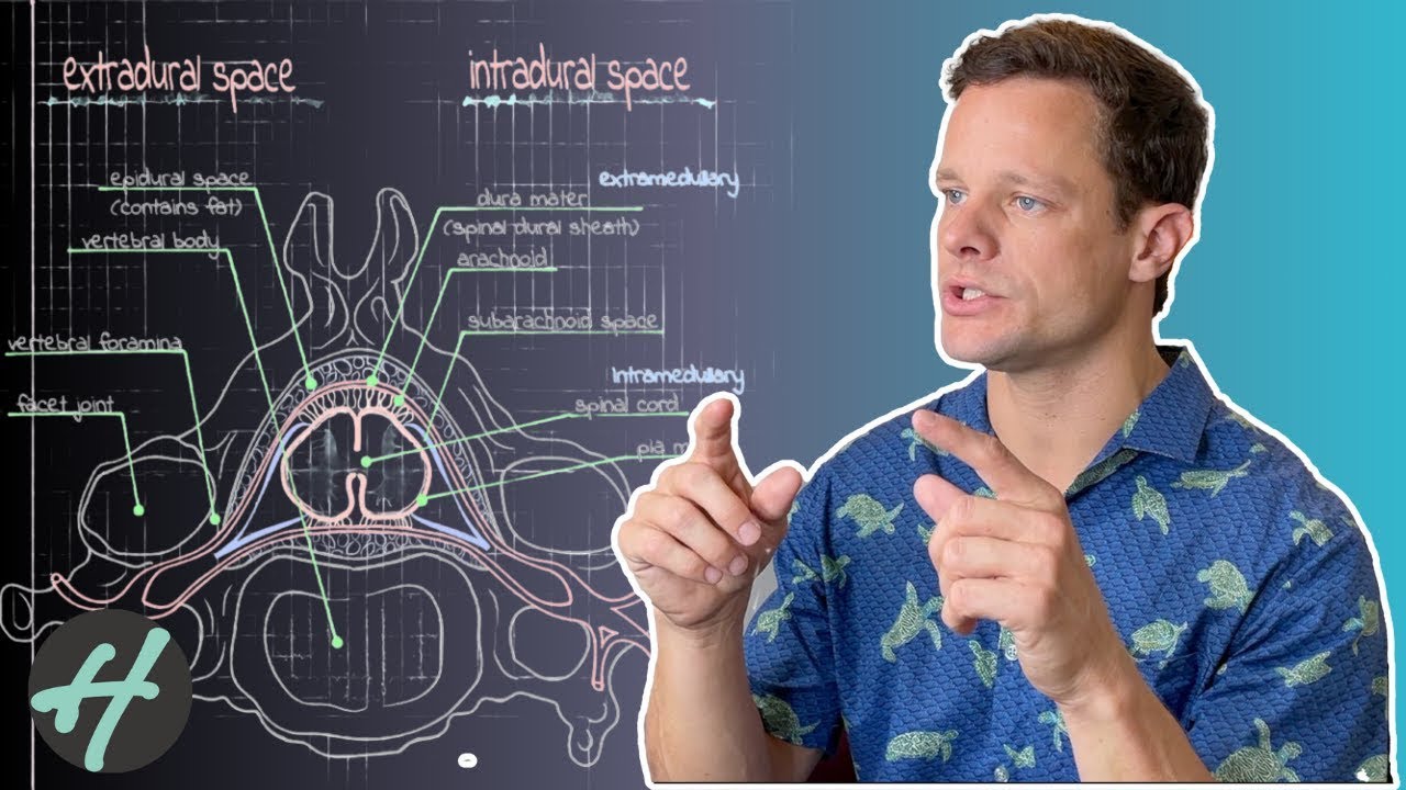 Spinal Dura Mater and the 'connection' to Tendons: Anatomy and Function / CSF / Brain Blood Flow
