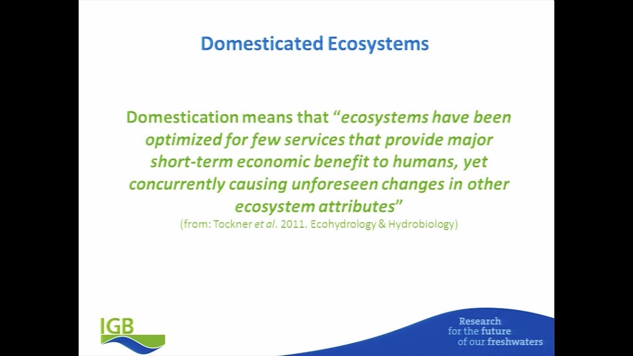 2013 ASM Plenary by Klement Tochner on Domestic Rivers