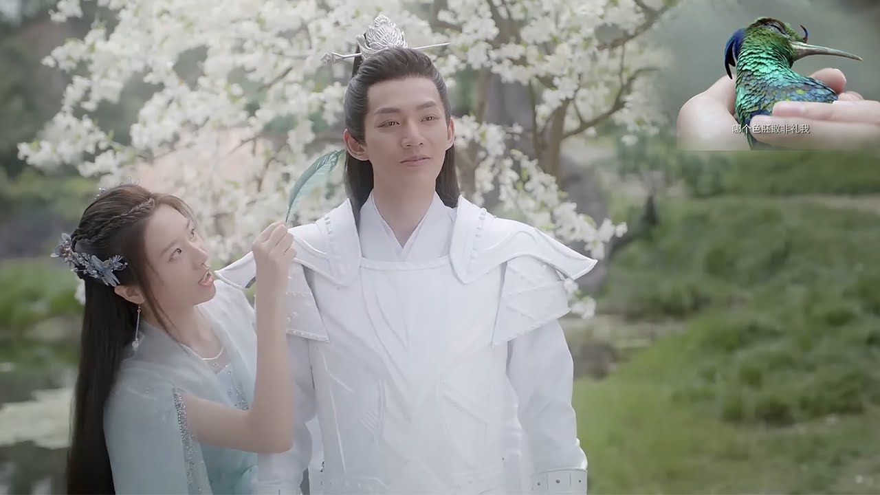 高冷天神偶然救下了一个小鸟，长大后变成绝世美女要嫁给他！【遇龙 Miss The Dragon】