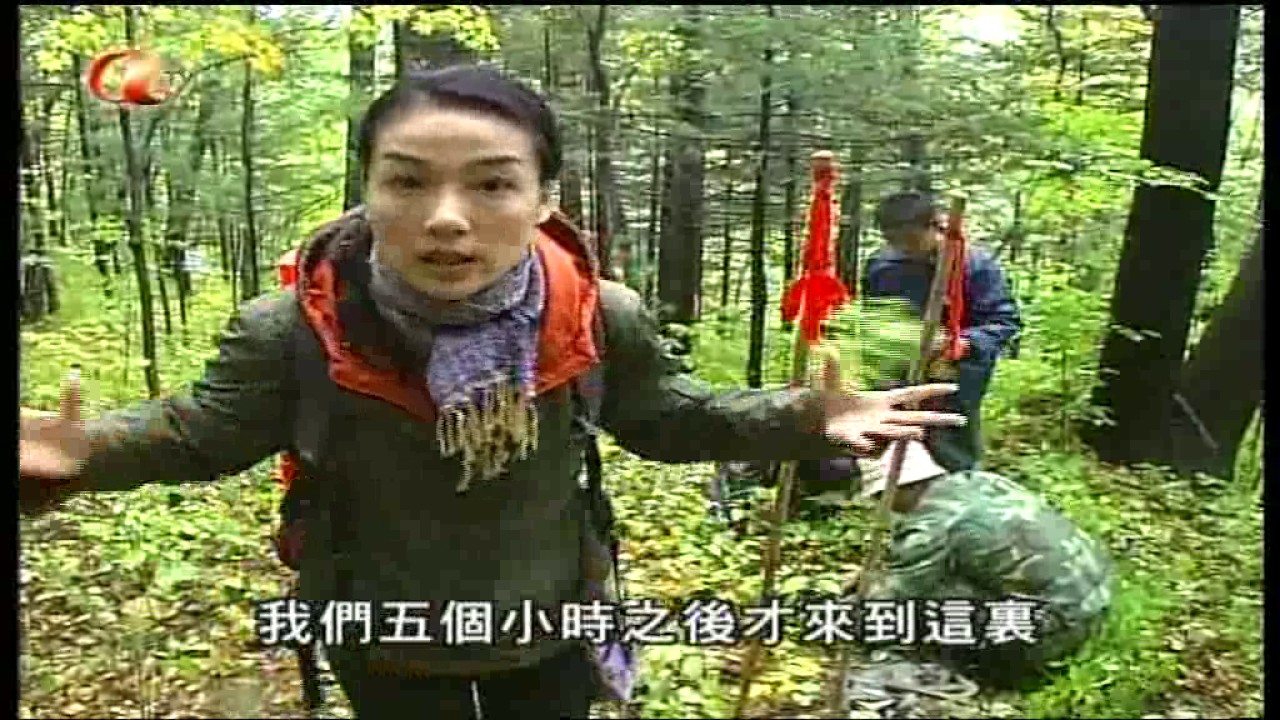 方草尋源 I - 人參