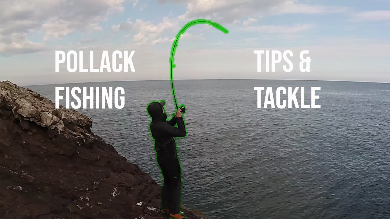 Winter Lure Fishing | Pollack on Soft Plastics | Techniques and Tackle