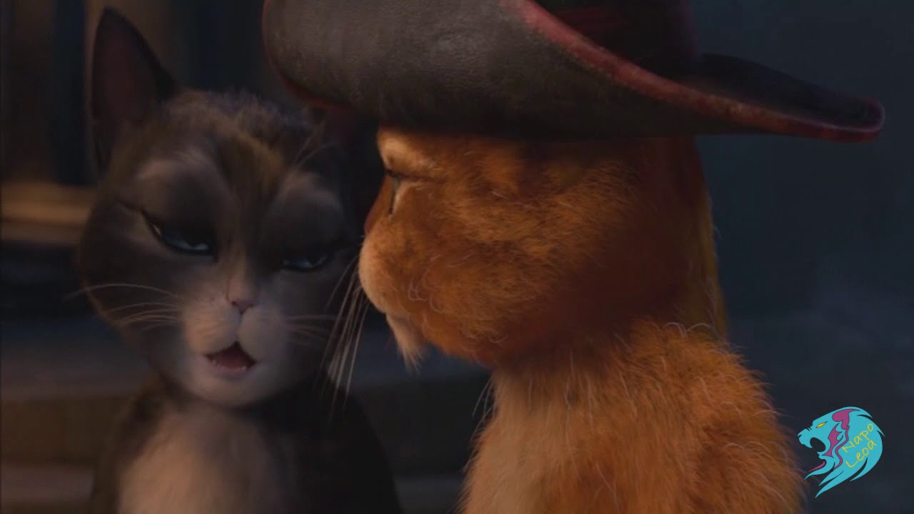 Kitty x Gato de Botas
