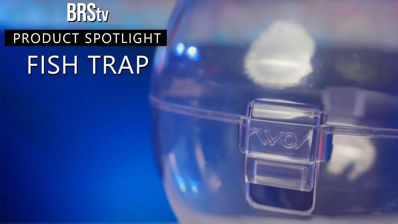 Catching Saltwater Aquarium Fish Couldn&rsquo;t Be EASIER! Nyos Floating Fish Trap