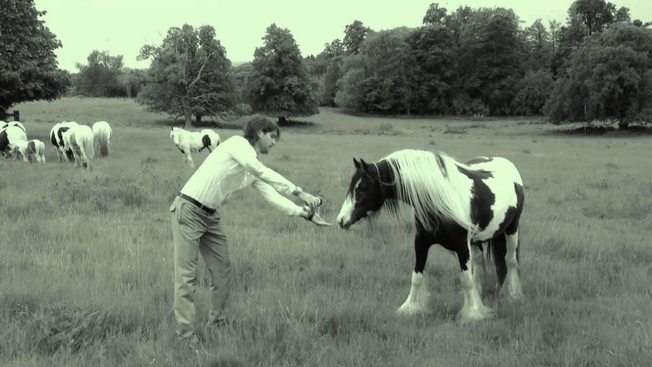 Riding Gypsy Wild Horses.mpg