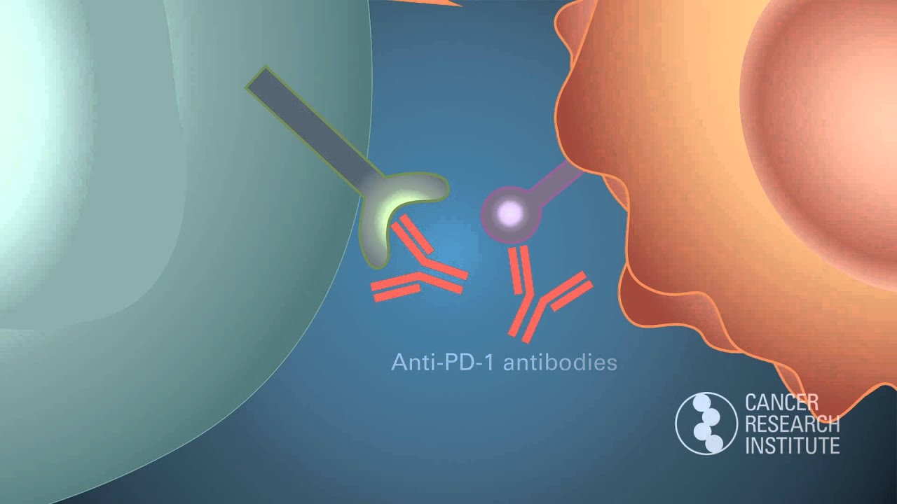 Discovering the PD-1 Checkpoint: Winners of the 2014 William B. Coley Award for Tumor Immunology