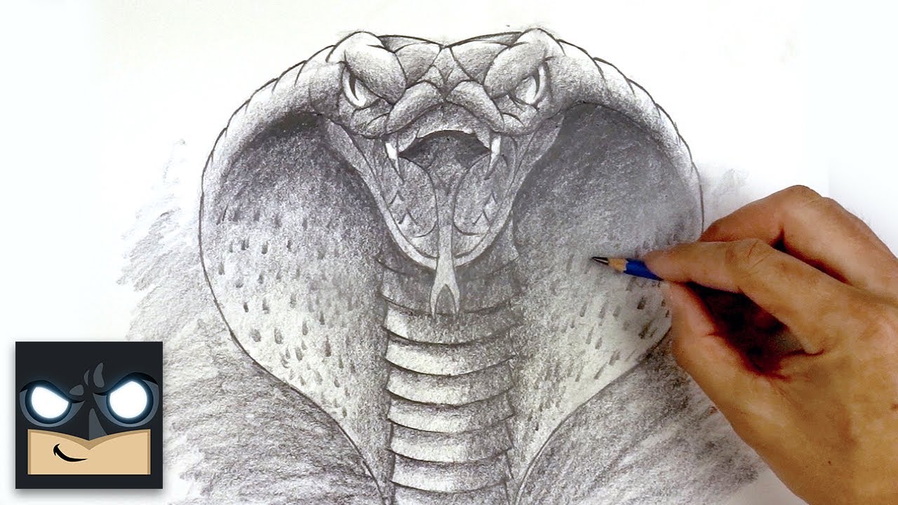 How To Draw A Cobra | Beginner Pencil Sketch Tutorial (Step-by-Step)