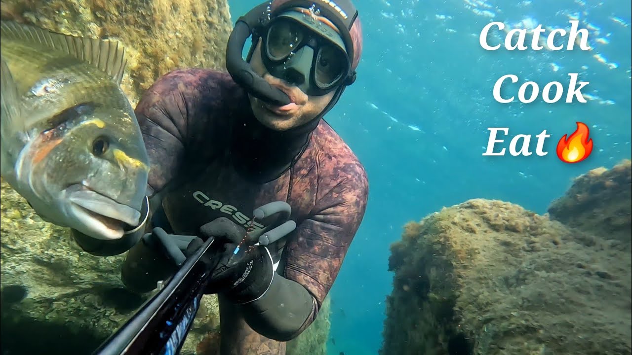 Doğada 2 gün Zıpkınla Dev Çipura avı 🐟 incir mezesi 🥗  Denizden soframıza lezzet