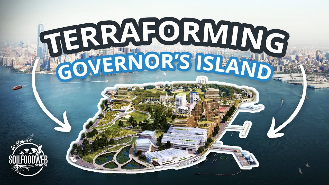 Growing Governors Island WITHOUT Chemicals | The Soil Food Web