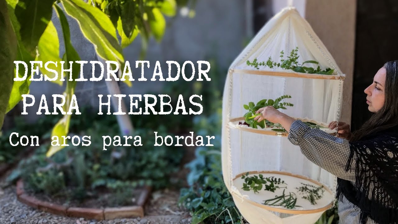 Deshidratador casero para preservar hierbas aromáticas | Muy sencillo con aros para bordar